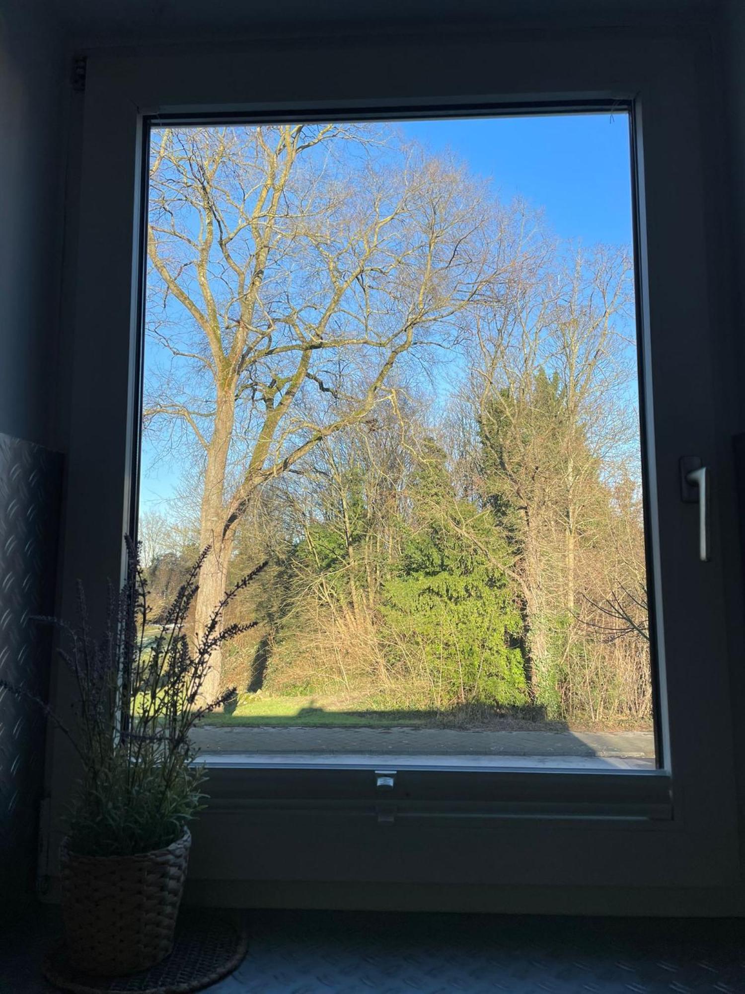 Ideale Unterkunft In Duesseldorf-Nord Ngoại thất bức ảnh